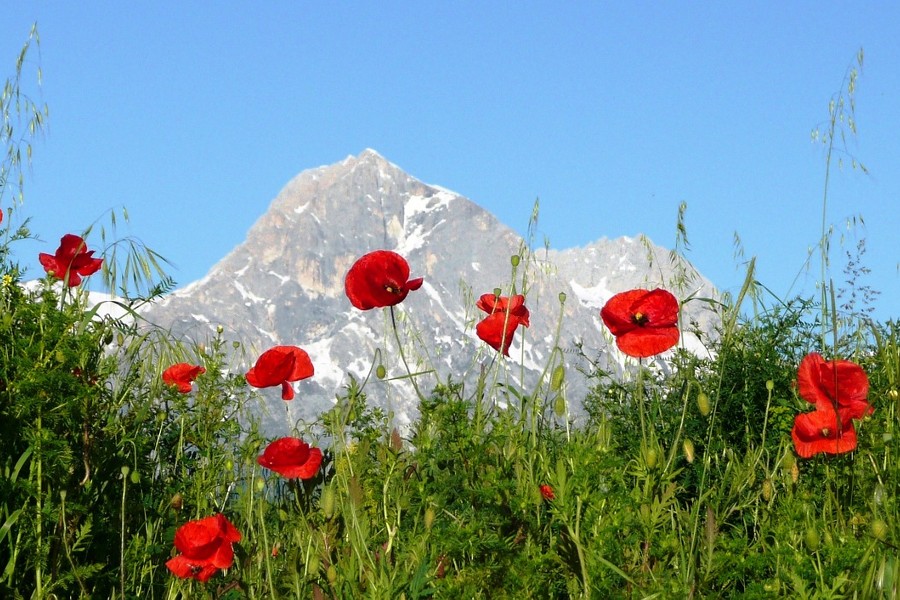 Wann ist die beste Zeit für eine Italienreise